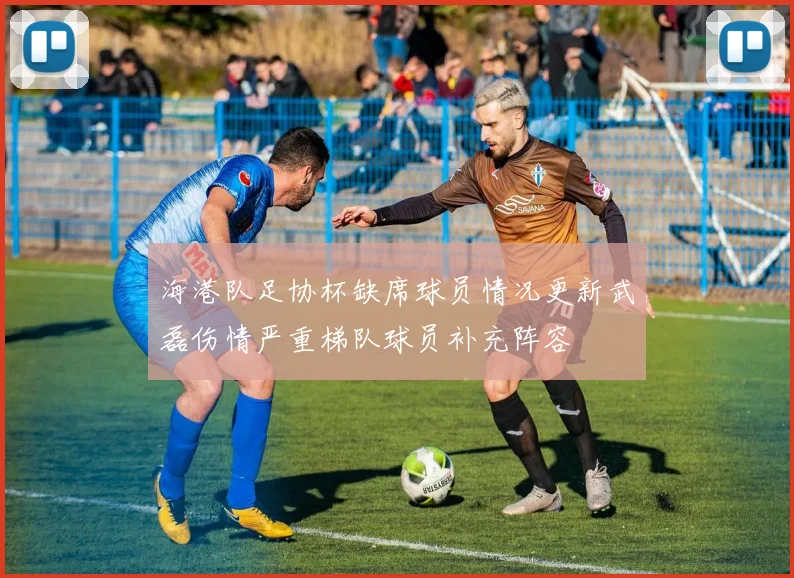 海港队足协杯缺席球员情况更新武磊伤情严重梯队球员补充阵容