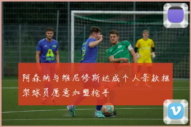 阿森纳与维尼修斯达成个人条款框架球员愿意加盟枪手