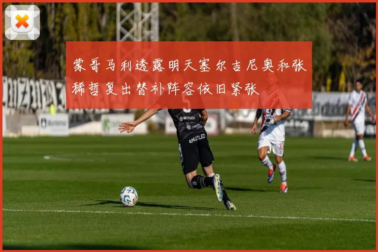 蒙哥马利透露明天塞尔吉尼奥和张稀哲复出替补阵容依旧紧张